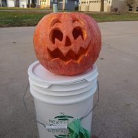 smiling jack-o-lantern on a bucket